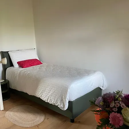 Il Rustico Di Corte Palu * San Martino Buon Albergo